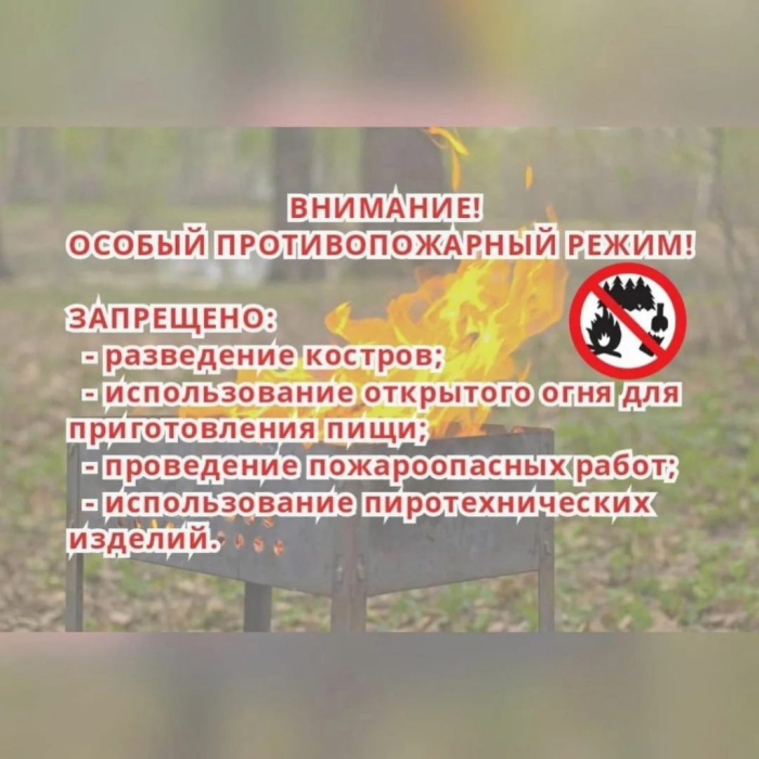 img-31.03.23_16-16-50.png