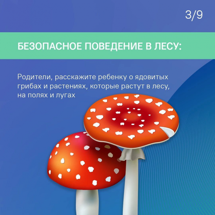 img-27.06.24_10-10-35.png