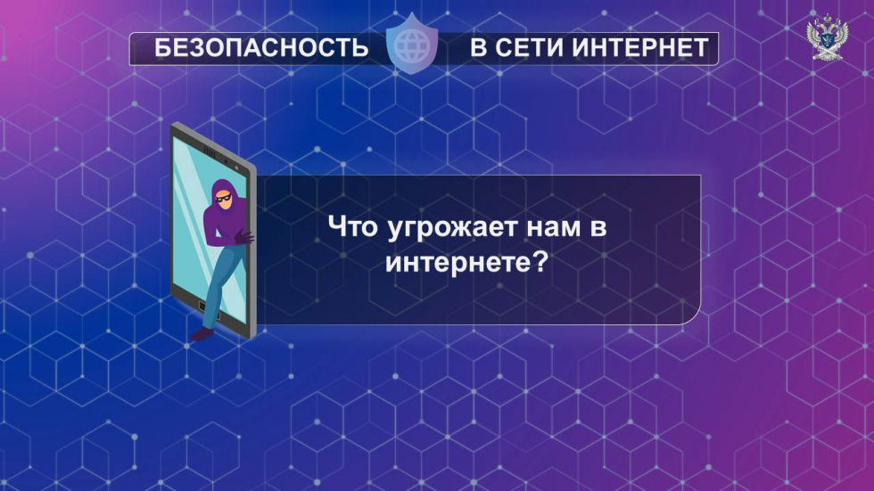 736.jpg
